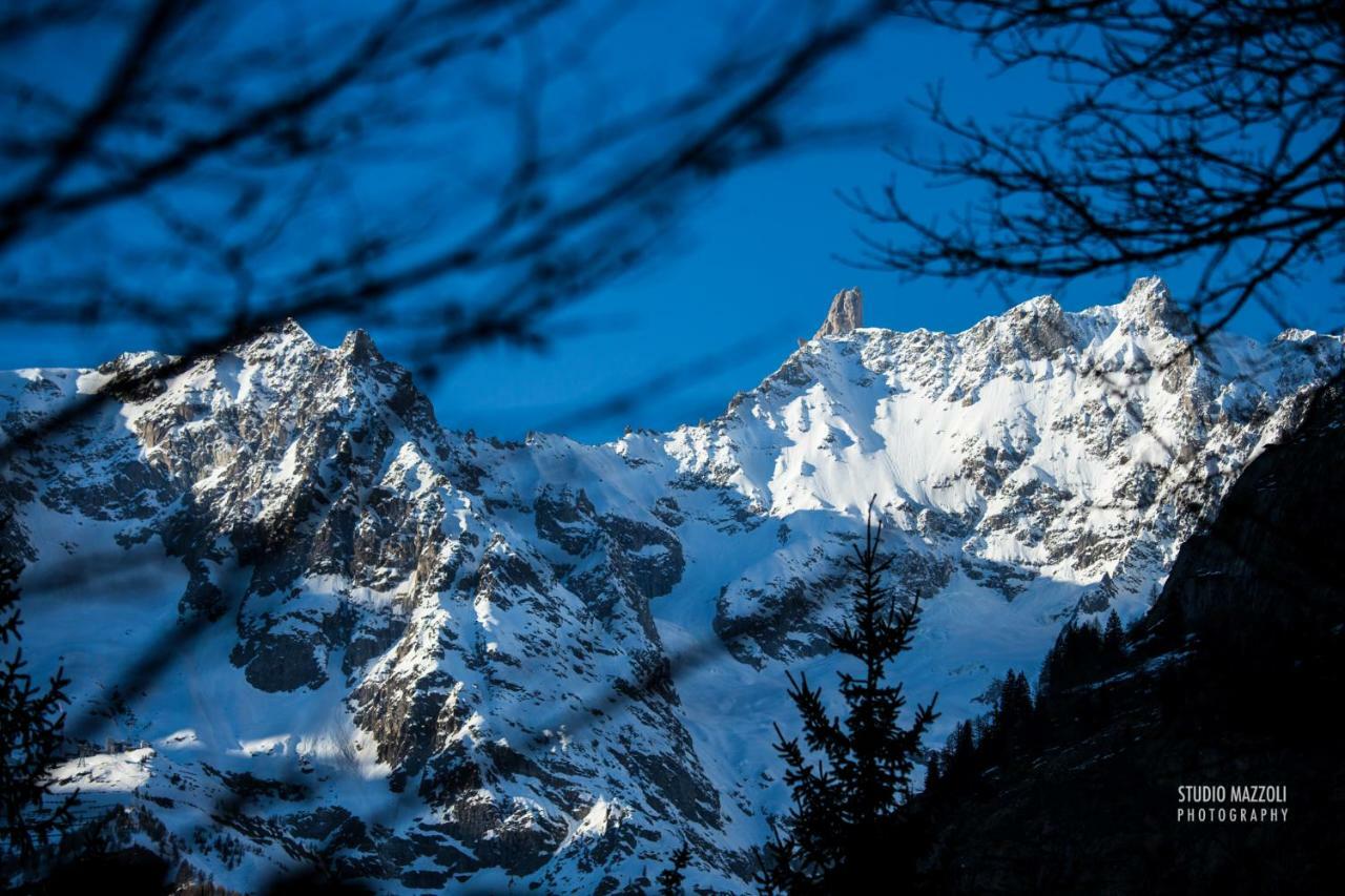 Quality Aosta